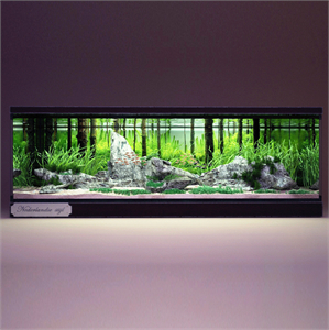 Aquarium